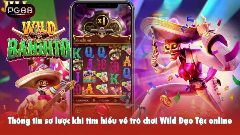Thông tin sơ lược khi tìm hiểu về trò chơi Wild Đạo Tặc online