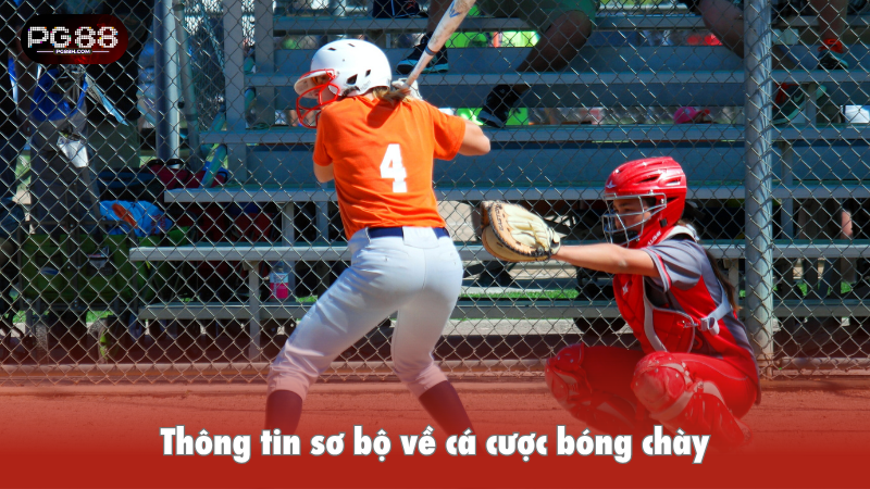 Thông tin sơ bộ về cá cược bóng chày