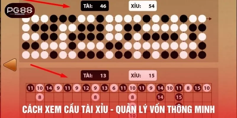 Cách xem cầu tài xỉu - quản lý vốn thông minh